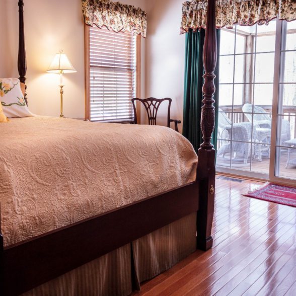 El mando a distancia, un foco de bacterias